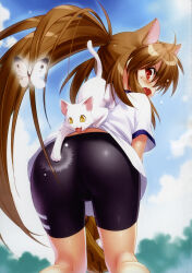 Rule 34 | 1girl, absurdres, ahoge, angry, animal ears, ass, baseball, baseball (object), baseball glove, bike shorts, blush, brown hair, bug, butterfly, cat, cat ears, cowboy shot, day, fang, from behind, gym uniform, hair between eyes, highres, insect, lennon, little busters!, long hair, looking back, natsume rin, open mouth, outdoors, photoshop (medium), ponytail, profile, red eyes, scan, shiny clothes, shirt, short sleeves, sidelocks, spanking, standing, sweatdrop, v-shaped eyebrows, very long hair, white butterfly, white shirt, yellow eyes, zen (kamuro)