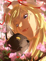 Rule 34 | 1girl, absurdres, black cat, blonde hair, blurry, blurry background, blurry foreground, cat, chen, chen (cat), close-up, closed mouth, commentary, deer va6, depth of field, earrings, english commentary, flower, hat, highres, jewelry, leaf, lips, long hair, looking at animal, mob cap, outdoors, pink flower, purple eyes, red ribbon, ribbon, ribbon-trimmed headwear, ribbon trim, single earring, touhou, whiskers, white headwear, yakumo yukari