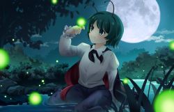 Rule 34 | 1girl, absurdres, androgynous, antennae, black cape, black pants, blush, bug, cape, cloud, collared shirt, commentary request, commission, firefly, flat chest, full body, full moon, grass, green eyes, green hair, highres, insect, long sleeves, moon, nifuji, night, outdoors, pants, puddle, red cape, rock, shirt, short hair, skeb commission, sky, smile, solo, star (sky), starry sky, touhou, tree, two-sided cape, two-sided fabric, water, white shirt, wriggle nightbug