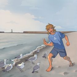 Rule 34 | 1boy, :d, artist name, beach, bird, blouse, blue shirt, blurry, blurry background, brown hair, contemporary, day, lighthouse, link, male focus, miyuli, nintendo, open mouth, outdoors, pointy ears, sand, seagull, shirt, shorts, sidelocks, smile, solo, standing, the legend of zelda, v