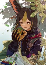 Rule 34 | 1boy, animal ear fluff, animal ears, asymmetrical sleeves, black gloves, black hair, black shirt, blunt ends, bright pupils, cape, commentary, drawstring, earrings, falling leaves, flower, fox ears, genshin impact, gloves, green eyes, green hair, hair between eyes, highres, holding, hood, hood down, hoodie, jewelry, leaf, long sleeves, looking at viewer, male focus, medal, multicolored clothes, multicolored eyes, multicolored hair, open mouth, shiroha 148, shirt, short hair, short sleeves, sidelocks, single earring, solo, symbol-only commentary, tassel, tighnari (genshin impact), turtleneck, two-tone gloves