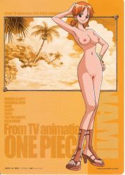 Rule 34 | breasts, highres, nami (one piece), nipples, nude, nude filter, one piece, pussy, third-party edit, uncensored