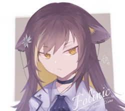 Rule 34 | 1girl, animal ears, arknights, bad id, bad twitter id, brown hair, character name, closed mouth, commentary request, flower, folinic (arknights), hair between eyes, hair flower, hair ornament, highres, long hair, looking at viewer, mongoose ears, portrait, shirt, solo, twitter username, white shirt, yama yama2533, yellow eyes