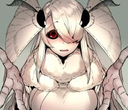 Rule 34 | 1girl, arthropod girl, black sclera, blush, breasts, colored sclera, colored skin, commission, embarrassed, fewer digits, fur collar, grey kimono, hair over one eye, indie virtual youtuber, insect girl, insect wings, japanese clothes, kimono, large breasts, looking at viewer, moth girl, moth wings, one eye covered, open mouth, reaching, reaching towards viewer, red eyes, shina tsukishiro, skeb commission, solo, solopipb, upper body, virtual youtuber, white skin, wide-eyed, wings