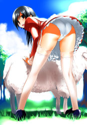Rule 34 | 1girl, ass, player character (mabinogi), bent over, black eyes, black hair, clothes lift, coat, dress, frills, garter belt, hima, legs, lingerie, long hair, mabinogi, maid, panties, pantyshot, petticoat, red coat, red dress, red skirt, sheep, shoes, skirt, skirt lift, solo, surprised, thighhighs, third-party source, trefoil, underwear, upskirt, white panties, white thighhighs, wind, wind lift