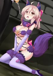Rule 34 | 1girl, ahoge, animal ears, bdsm, blush, bound, breasts, chain, collar, cosplay, elbow gloves, fang, fate/grand order, fate (series), fur trim, gloves, halloween costume, koha-ace, large breasts, mash kyrielight, mash kyrielight (dangerous beast), mash kyrielight (dangerous beast) (cosplay), minato yoshihiro, navel, official alternate costume, okita souji (fate), okita souji (koha-ace), pink hair, shielder (fate/grand order) (cosplay), solo, tail, wolf ears, wolf tail, yellow eyes