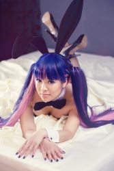 Rule 34 | 1girl, animal ears, asian, bed, blue hair, blue nails, blunt bangs, blurry, bow, bowtie, cosplay, depth of field, detached collar, fake animal ears, fishnet pantyhose, fishnets, high heels, leotard, long hair, looking at viewer, lying, multicolored hair, nail polish, on stomach, panty &amp; stocking with garterbelt, pantyhose, photo (medium), playboy bunny, rabbit ears, solo, stocking (psg), stocking (psg) (cosplay), the pose, twintails, two-tone hair