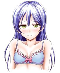 Rule 34 | 10s, 1girl, absurdres, blue bra, blue hair, blush, bra, breasts, cleavage, embarrassed, highres, kyuusenbinore (gavion), long hair, looking at viewer, love live!, love live! school idol project, ribbon, small breasts, solo, sonoda umi, underwear, yellow eyes
