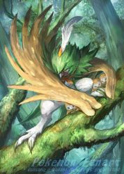 Rule 34 | &gt; &lt;, black eyes, branch, bright pupils, commentary request, creatures (company), decidueye, closed eyes, game freak, gen 7 pokemon, moss, nanami lusia, nintendo, no humans, pokemon, pokemon (creature), protecting, rowlet, twitter username, watermark, white pupils