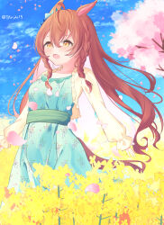 Rule 34 | 1girl, :d, ahoge, animal ears, blue dress, blue sky, blush, braid, breasts, brown eyes, brown hair, brown jacket, cloud, collarbone, commentary request, day, dress, flower, frilled dress, frilled jacket, frills, green eyes, hair between eyes, highres, horse ears, horse girl, horse tail, jacket, long hair, long sleeves, looking away, mejiro bright (umamusume), open clothes, open jacket, open mouth, outdoors, petals, pink flower, puffy long sleeves, puffy sleeves, rapeseed blossoms, roido (taniko-t-1218), sky, small breasts, smile, solo, tail, twin braids, twitter username, umamusume, very long hair, yellow flower
