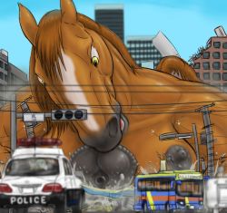 Rule 34 | artist request, brown hair, bus, city, furry, giantness, horse, penis, police car, sky, vehicle, yellow eyes