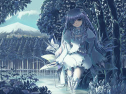 Rule 34 | 00s, 1girl, blue theme, boots, castle, dress, eyepatch, flower, forest, kirakishou, long hair, mountain, nature, pink hair, plant, purple eyes, ranranloo, rose, rozen maiden, solo, thigh boots, thighhighs, tree, vines, water, white flower, white rose