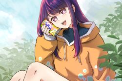 Rule 34 | 1girl, can, commentary request, happy, highres, hood, hoodie, hoshino ai (oshi no ko), looking at viewer, nicha60606, open mouth, oshi no ko, plant, purple eyes, purple hair, sky, star-shaped pupils, star (symbol), symbol-shaped pupils, turtleneck