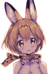 Rule 34 | 10s, 1girl, animal ears, bad id, bad pixiv id, blurry, blush, bow, bowtie, crying, crying with eyes open, depth of field, highres, kemono friends, serval (kemono friends), serval print, sleeveless, solo, tears, upper body, wavy mouth, white background, woga (ogkntk), yellow eyes