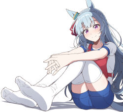 Rule 34 | 1girl, animal ears, blue hair, blue shorts, blush, braid, closed mouth, commentary request, crown braid, ear ornament, feet, gym uniform, horse ears, knees up, light blue hair, long hair, looking at viewer, mejiro ardan (umamusume), nel-c, no shoes, on ground, original race uniform (umamusume), own hands together, puffy short sleeves, puffy sleeves, purple eyes, race bib, shadow, shirt, short sleeves, shorts, simple background, sitting, smile, soles, solo, thighhighs, umamusume, very long hair, white background, white shirt, white thighhighs
