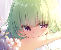 Rule 34 | 1girl, blurry, blurry foreground, blush, brown eyes, cariboy, commentary request, covered mouth, depth of field, flower, green hair, hair between eyes, long hair, looking at viewer, murasame (senren), senren banka, solo, white flower