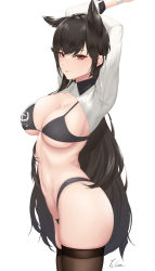 Rule 34 | 1girl, absurdres, animal ears, arms behind back, arms up, atago (azur lane), atago (stunning speedster) (azur lane), azur lane, bikini, black bikini, black hair, black thighhighs, breasts, brown eyes, cleavage, closed mouth, collared shirt, cowboy shot, cropped shirt, dog ears, extra ears, from side, highleg, highleg bikini, highres, ichikushi mojibake, large breasts, long hair, long sleeves, looking at viewer, mole, mole under eye, navel, official alternate costume, shirt, signature, simple background, skindentation, smile, solo, swept bangs, swimsuit, thick thighs, thighhighs, thighs, tsurime, underboob, very long hair, white background