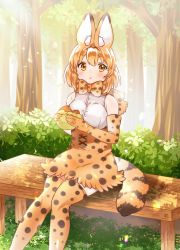 Rule 34 | 1girl, animal ears, bare shoulders, blonde hair, blush, bow, bowtie, burger, commentary request, eating, elbow gloves, food, gloves, high-waist skirt, highres, kemono friends, looking at viewer, multicolored hair, print bow, print bowtie, print gloves, print neckwear, print skirt, print thighhighs, serval (kemono friends), serval print, serval tail, shirt, short hair, sitting, skirt, sleeveless, solo, suicchonsuisui, tail, thighhighs, traditional bowtie, white shirt, yellow eyes, zettai ryouiki