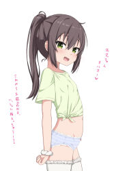 Rule 34 | 1girl, :d, black hair, blush, breasts, commentary request, fang, frilled thighhighs, frills, green eyes, green shirt, hair between eyes, highres, looking at viewer, looking to the side, no pants, open mouth, original, panties, ponytail, scrunchie, shirt, short sleeves, simple background, small breasts, smile, solo, striped clothes, striped panties, takasuma hiro, thighhighs, tied shirt, translation request, underwear, white background, white scrunchie, white thighhighs, wrist scrunchie