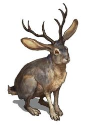 Rule 34 | animal, antlers, creature, g.river, horns, jackalope, lowres, no humans, rabbit, simple background, solo