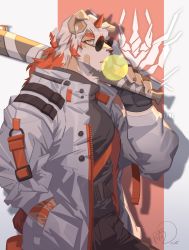 Rule 34 | 1boy, alternate costume, animal ears, arknights, bara, baseball bat, between pectorals, black pants, black shirt, brown fur, chewing gum, collar, dog boy, dog ears, dog tail, from side, furry, furry male, hachi duchi, highres, horns, hung (arknights), jacket, large pectorals, looking at viewer, male focus, medium hair, multicolored hair, muscular, open clothes, open jacket, orange eyes, orange hair, over shoulder, pants, pectorals, round eyewear, shirt, single horn, solo, streaked hair, sunglasses, tail, two-tone fur, upper body, weapon, weapon over shoulder, white fur, white hair, white jacket