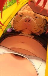 Rule 34 | 1girl, absurdres, animal, belt, black pants, bra, breasts, brown belt, clothes pull, dog, downblouse, extended downblouse, female pov, from above, grass, happy, highres, khyle., kobayashi-san chi no maidragon, kobayashi (maidragon), mouth hold, navel, outdoors, pants, pov, pov breasts, pov hair, pulled by self, shirt pull, small breasts, smile, stomach, tail in mouth, underwear, white bra