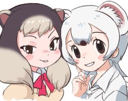 Rule 34 | 2girls, alpine marmot (kemono friends), animal ears, beige sweater, blush, bow, bowtie, brown hair, close-up, collared shirt, commentary request, extra ears, ieinu account, jacket, kemono friends, light brown hair, looking at viewer, multicolored hair, multiple girls, necktie, nose blush, red neckwear, shirt, short hair, squirrel ears, squirrel girl, stoat (kemono friends), stoat girl, weasel ears, white hair, white jacket, white neckwear, white shirt