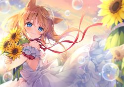 Rule 34 | 1girl, animal ears, bare shoulders, blue eyes, blush, bouquet, brown hair, bubble, cat ears, closed mouth, cloud, cloudy sky, commentary request, dog ears, dress, fingernails, flower, hair between eyes, long hair, hugging object, off-shoulder dress, off shoulder, original, outdoors, rainbow, red ribbon, ribbon, sky, smile, solo, suimya, sunflower, sunset, white dress, yellow flower