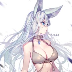 Rule 34 | 1girl, animal ears, blue eyes, breasts, bright pupils, chyan, cleavage, collar, destiny child, hair between eyes, highres, jewelry, large breasts, long hair, looking away, navel, parted lips, pendant, profile, solo, werewolf (destiny child), white hair