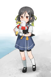 Rule 34 | 1girl, annin musou, bike shorts, bird, black hair, blue dress, brown eyes, collared shirt, commentary request, dress, dress shirt, full body, gloves, grey sailor collar, inagi (kancolle), kantai collection, low twintails, mary janes, sailor collar, seagull, shirt, shoes, shorts under dress, socks, twintails, white gloves, white shirt, white socks