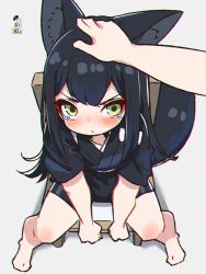 Rule 34 | 1girl, 1other, animal ear fluff, animal ears, barefoot, black hair, black shorts, blush, chair, dog ears, dog girl, dog tail, feet, from above, green eyes, grey background, hand on another&#039;s head, highres, kuro kosyou, long hair, looking at viewer, looking up, original, petting, pov, short shorts, short sleeves, shorts, simple background, sitting, spread legs, tail, tears, thighs
