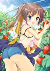 Rule 34 | 1girl, :d, ahoge, ass, bare arms, basket, blue eyes, blue shorts, blush, bow, breasts, brown hair, camisole, clothes around waist, cloud, contrail, cowboy shot, day, diffraction spikes, food, from behind, fruit, hair bow, hair ornament, hair scrunchie, hat, unworn headwear, highres, holding, holding food, holding fruit, leaning forward, light rays, long hair, looking at viewer, looking back, maccha, moe2016, open mouth, original, outdoors, pink towel, plant, purple bow, scrunchie, shirt, shirt around waist, short shorts, shorts, side ponytail, sideboob, sky, small breasts, smile, solo, sparkle, strap slip, straw hat, sunbeam, sunlight, sweat, thighs, tomato, towel, towel around neck, yellow bow