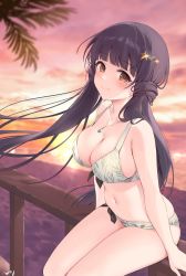 Rule 34 | 1girl, bare arms, bare legs, bare shoulders, beach, bikini, black hair, blunt bangs, blush, breasts, brown eyes, cleavage, closed mouth, cloud, collarbone, cross, cross necklace, evening, hair ornament, hairclip, highres, idolmaster, idolmaster million live!, idolmaster million live! theater days, jewelry, kitakami reika, large breasts, long hair, looking at viewer, navel, necklace, nys, orange sky, outdoors, palm tree, pendant, sidelocks, signature, sitting, skindentation, sky, smile, solo, star (symbol), star hair ornament, sunset, swimsuit, thighs, tree, twilight, very long hair
