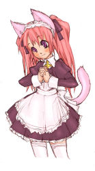 Rule 34 | 1girl, animal ears, blush, cat ears, cat tail, cross, maid, neoko, original, own hands together, pink hair, purple eyes, ribbon, smile, solo, tail, thighhighs