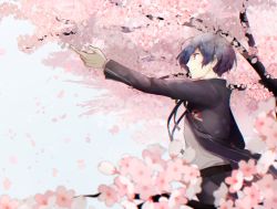 Rule 34 | 1boy, blue hair, cherry blossoms, flower, jacket, male focus, mentaishi, persona, persona 3, smile, solo, tree, yuuki makoto (persona 3)