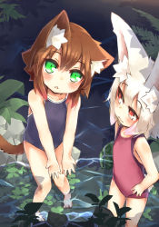 Rule 34 | 2girls, animal ears, barefoot, blush, brown hair, rabbit ears, casual one-piece swimsuit, cat ears, crr w9kd, from above, green eyes, hands on own hips, looking up, multiple girls, one-piece swimsuit, open mouth, original, red eyes, short hair, silver hair, swimsuit, tail, wading, water