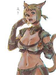Rule 34 | 1girl, animal ear fluff, animal ears, blonde hair, blue eyes, breasts, brown gloves, cat ears, cat girl, cat tail, cherry, cleavage, dark-skinned female, dark skin, elbow gloves, final fantasy, final fantasy xi, fingerless gloves, food, fruit, gloves, groin, highres, holding, holding food, holding fruit, leaf, loincloth, looking at viewer, medium breasts, mithra (ff11), navel, no eyebrows, open mouth, parted bangs, short hair, simple background, solo, tail, teeth, white background, yuccoshi