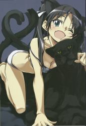 Rule 34 | 1girl, absurdres, animal, animal ears, barefoot, black hair, blue background, bra, breasts, cat ears, cat tail, cleavage, francesca lucchini, green eyes, highres, kurashima tomoyasu, long hair, medium breasts, one eye closed, open mouth, panther, panties, scan, simple background, strike witches, tail, twintails, underwear, world witches series