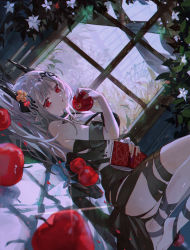 Rule 34 | 1girl, apple, arknights, bikini, black bikini, black collar, black ribbon, book, collar, demon horns, dutch angle, ferris wheel, flower, food, fruit, highres, hitokoto, holding, holding book, holding food, holding fruit, horns, infection monitor (arknights), knees up, looking at viewer, lying, material growth, mudrock (arknights), mudrock (silent night) (arknights), official alternate costume, on back, oripathy lesion (arknights), parted lips, red eyes, ribbon, solo, swimsuit, white flower, window