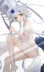 Rule 34 | 1girl, arknights, bikini, blue flower, breasts, chinese commentary, commentary request, crocodilian tail, flower, foot out of frame, frilled bikini, frilled legwear, frilled one-piece swimsuit, frills, grey hair, hair flower, hair ornament, head wreath, highres, holding, holding staff, knee up, looking at viewer, nekonomi, official alternate costume, one-piece swimsuit, pointy ears, short hair, simple background, small breasts, solo, staff, swimsuit, tail, thigh strap, thighs, tomimi (arknights), tomimi (silent night) (arknights), water, white background, white bikini, white flower, x hair ornament, yellow eyes