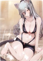 Rule 34 | 1girl, absurdres, animal ears, arknights, arm behind back, bare legs, barefoot, black shorts, blush, breasts, cat ears, cat girl, cat tail, cleavage, commentary, crop top, feet, female pubic hair, fishnets, foot out of frame, grey hair, hair between eyes, highres, holding, holding sponge, large breasts, legs, long hair, looking at viewer, nail polish, navel, neko no youchuu, open fly, parted lips, ponytail, pubic hair, pubic hair peek, schwarz (arknights), scrunchie, short shorts, shorts, shower (place), sitting, soap, soap bubbles, solo, sponge, stomach, tail, tile floor, tiles, toenail polish, toenails, toes, wet, yellow eyes