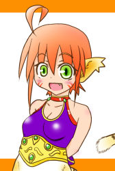 Rule 34 | 1girl, animal ears, blush, breasts, breath of fire, breath of fire ii, bustier, cat ears, cat tail, facial mark, furry, furry female, gloves, green eyes, orange hair, pointy ears, rinpoo chuan, short hair, solo, tail