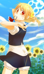Rule 34 | 1girl, absurdres, adjusting hair, alternate hairstyle, bad id, bad pixiv id, blonde hair, bloomers, embodiment of scarlet devil, face, female focus, flower, hairdressing, highres, mouth hold, ponytail, rumia, shirane koitsu, solo, sunflower, touhou, underwear