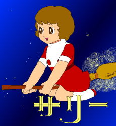 Rule 34 | broom, broom riding, magical girl, mahou tsukai sally, sally (mahou tsukai sally), titles