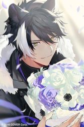 Rule 34 | 1boy, anemone (flower), animal ears, baby&#039;s-breath, black hair, black shirt, bouquet, copyright notice, fingernails, flower, fur-trimmed jacket, fur trim, hair between eyes, holding, holding bouquet, holostars, jackal boy, jackal ears, jacket, kageyama shien, looking at viewer, male focus, multicolored hair, namakawa, official art, petals, purple flower, purple ribbon, purple rose, ribbon, rose, sharp fingernails, shirt, smile, solo, sunlight, swept bangs, two-tone hair, upper body, v-shaped eyebrows, virtual youtuber, white flower, white hair, white rose, yellow eyes, zipper