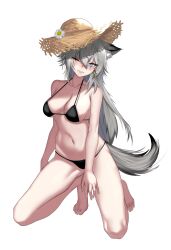 Rule 34 | 1girl, absurdres, animal ears, arknights, bare arms, bare legs, bare shoulders, barefoot, bikini, black bikini, blue eyes, breasts, commentary request, earrings, flower, grey hair, grin, hat, hat flower, highres, jewelry, kneeling, lappland (arknights), long hair, looking at viewer, medium breasts, navel, one eye closed, simple background, smile, solo, stomach, straw hat, swimsuit, tail, thighs, very long hair, white background, wolf ears, wolf tail, zzzai