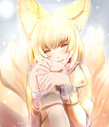 Rule 34 | 1girl, animal ears, blonde hair, blush, coat, dearmybrothers, female focus, fox ears, fox tail, holding hands, highres, looking at viewer, no headwear, no headwear, pov, short hair, smile, snow, snowing, solo focus, tail, touhou, yakumo ran, yellow eyes