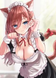 Rule 34 | 1girl, 3:, akino ell, alternate costume, animal ears, apron, black dress, blue eyes, blurry, bow, braid, breasts, brown hair, cat ears, cat girl, cat tail, cleavage, depth of field, dress, enmaided, go-toubun no hanayome, hair between eyes, hands up, highres, kemonomimi mode, large breasts, leaning forward, long hair, looking at viewer, maid, maid apron, maid headdress, nakano miku, neck ribbon, paw pose, ribbon, short sleeves, solo, standing, tail, tail bow, tail ornament, tail raised, upper body, wing collar, wrist cuffs