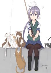 Rule 34 | 10s, 1girl, 2015, akebono (kancolle), animal, animal on head, cat, cat on head, dated, fishing, fishing rod, flower, full body, hair flower, hair ornament, highres, kantai collection, long hair, md5 mismatch, mku, on head, pantyhose, purple eyes, purple hair, school uniform, serafuku, side ponytail, skirt, solo, too many, too many cats, vest