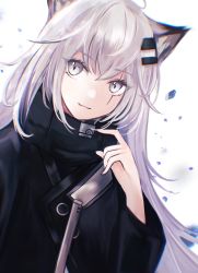 Rule 34 | 1girl, ahoge, animal ear fluff, animal ears, arknights, black coat, closed mouth, coat, hair ornament, hairclip, highres, lappland (arknights), long hair, mayuchi427, scar, scar across eye, scar on face, solo, white background, white hair, wolf ears
